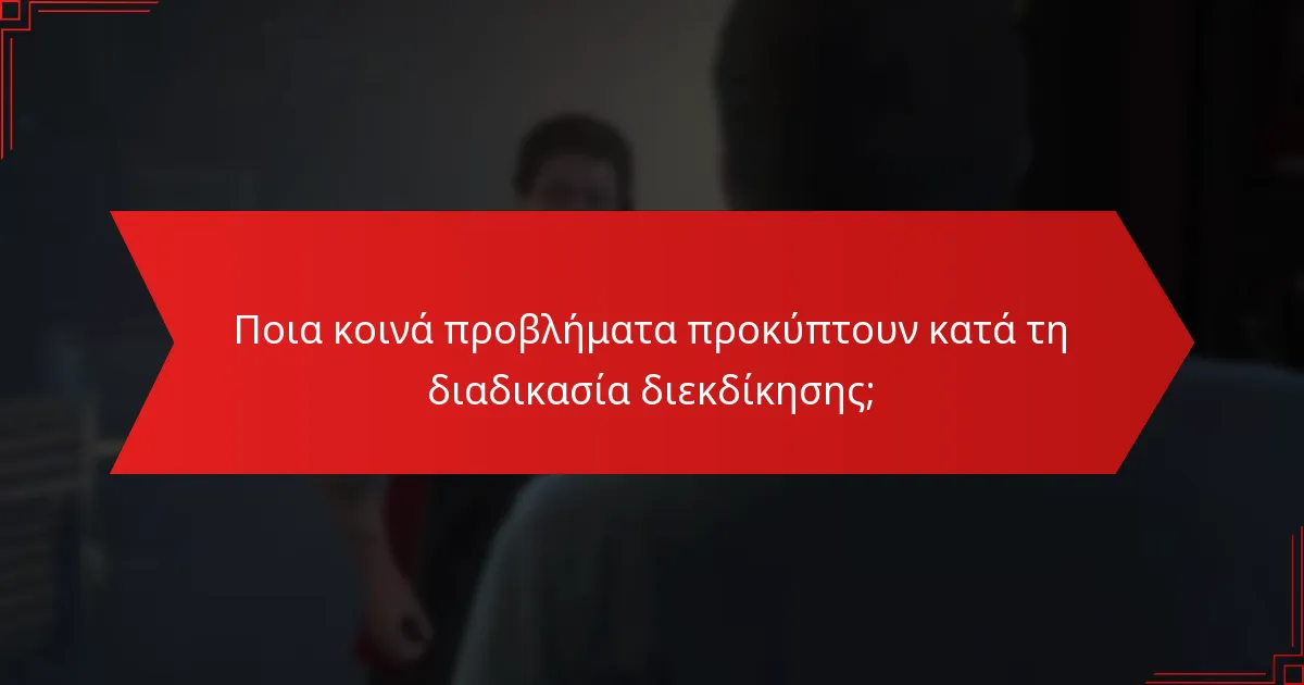 Ποια κοινά προβλήματα προκύπτουν κατά τη διαδικασία διεκδίκησης;